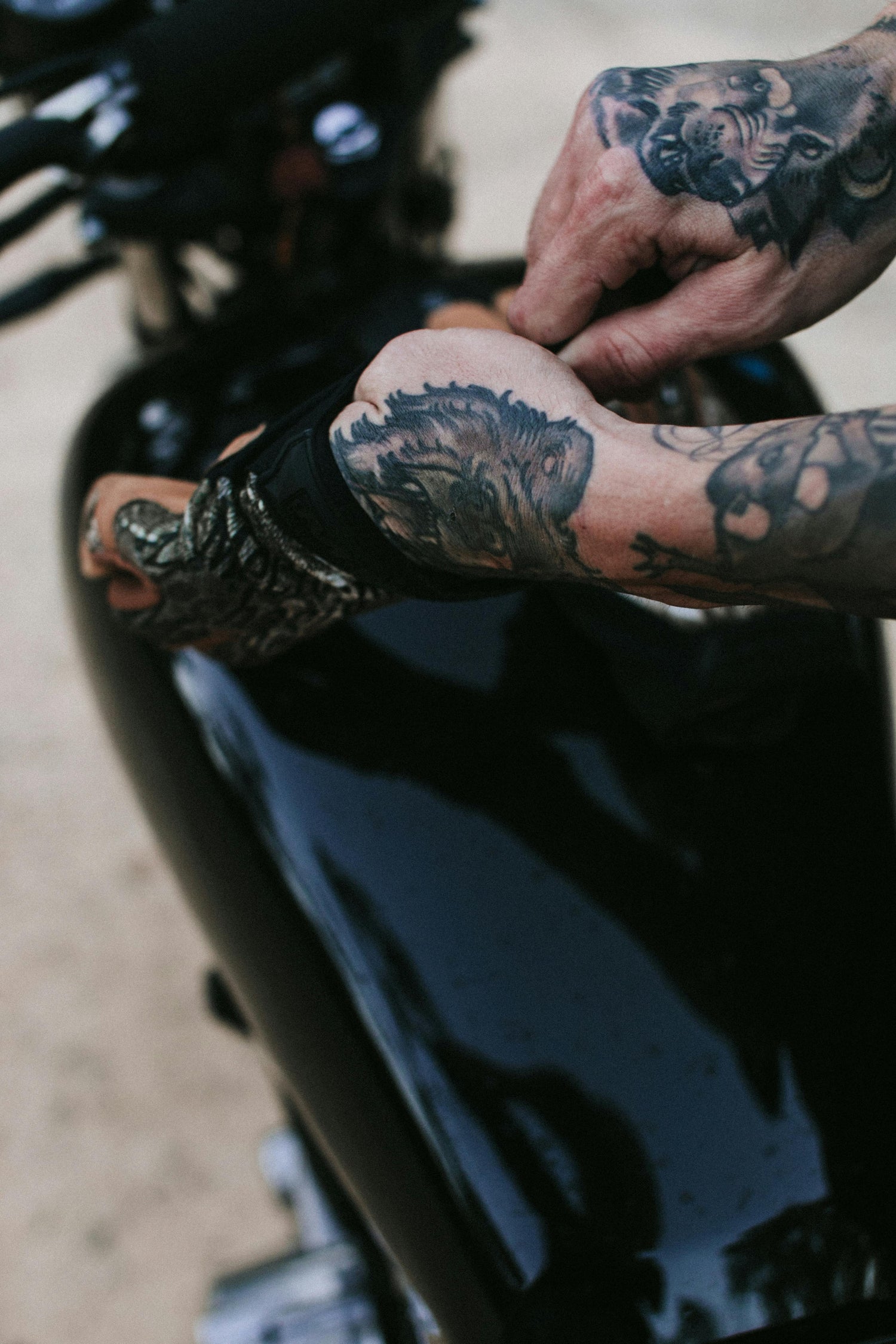 Riding Gloves